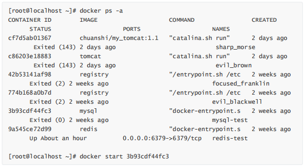 软件测试中如何操作Docker容器(图3)