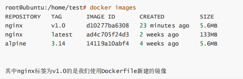 用Dockerfile添加数据卷及使用数据卷容器(图3)